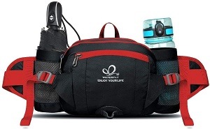 Best Travel Waist Pack